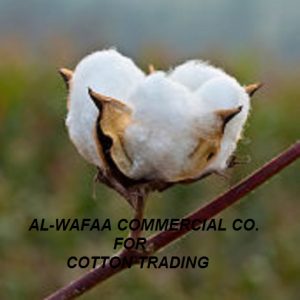 Al Wafaa for Import and Export