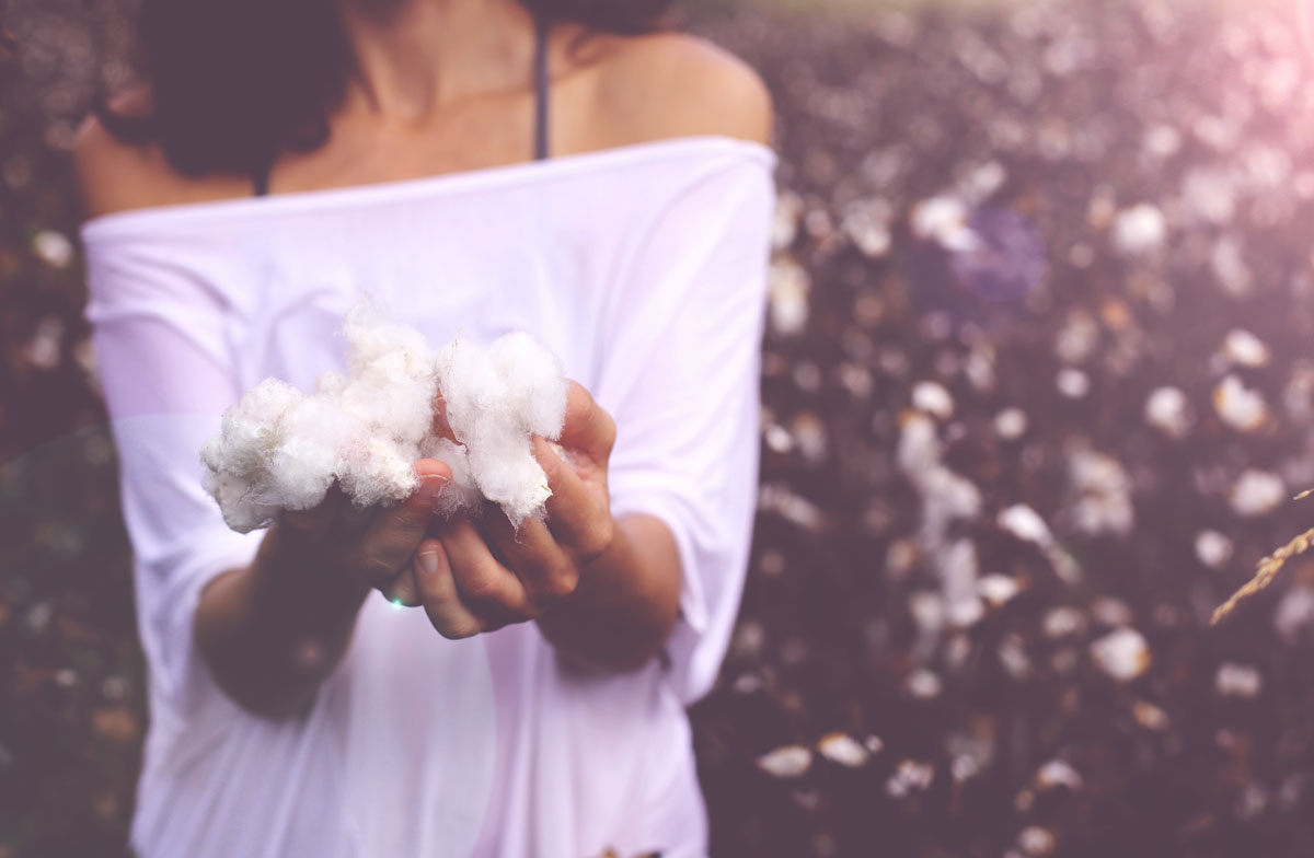 Origins of Egyptian Cotton from the River Nile Egyptian Cotton™